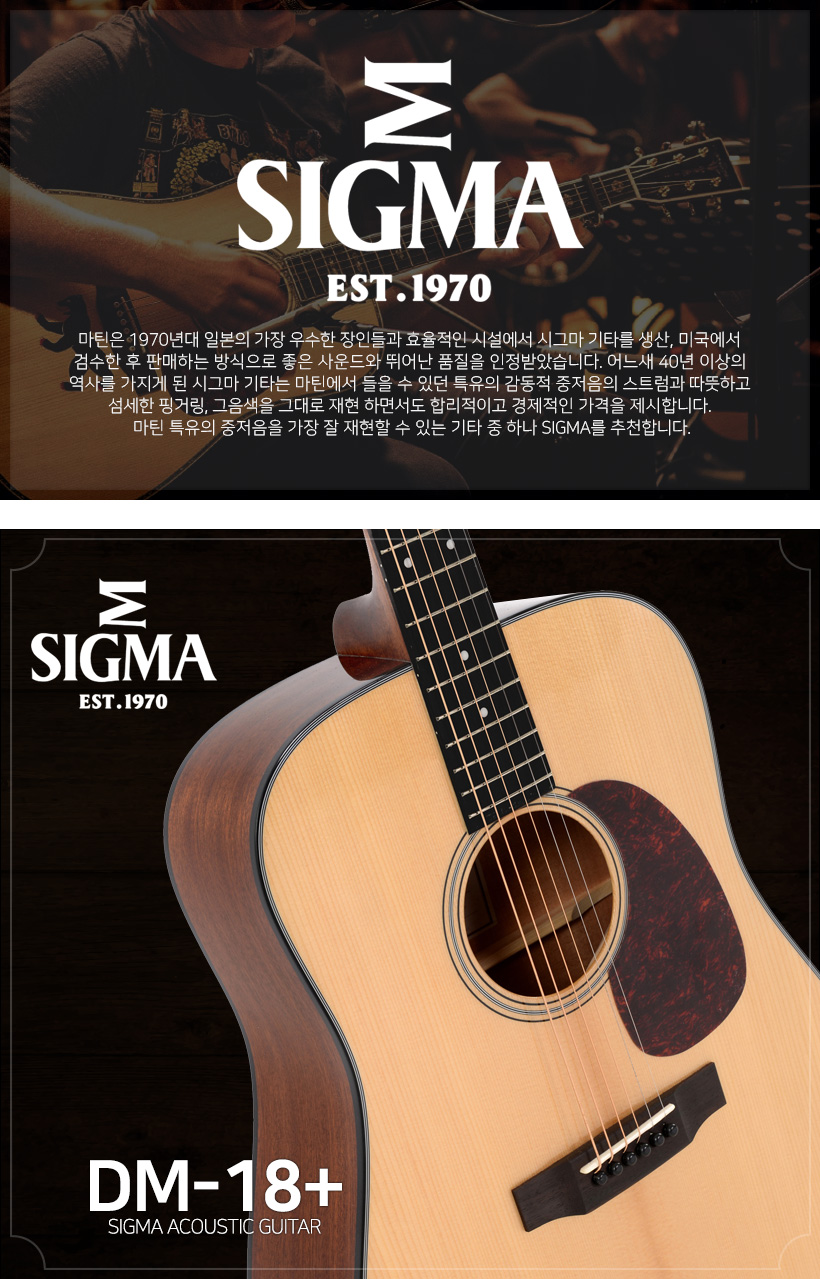 SIGMA 어쿠스틱 기타 DM-18+