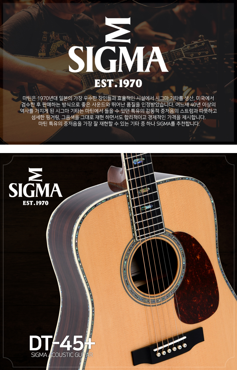 SIGMA 어쿠스틱 기타 DT-45+