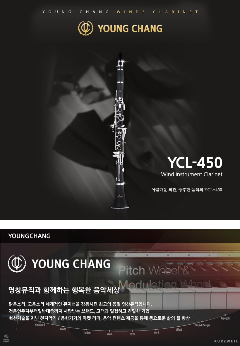 YOUNG CHANG 클라리넷 YCL-450