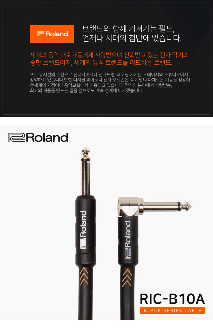 Roland RIC-B10A Cable