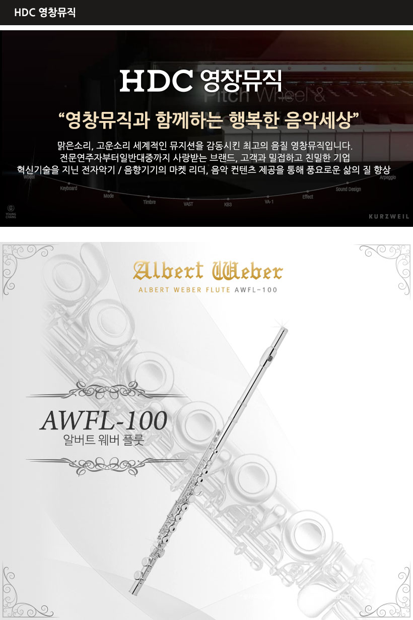 YOUNGCHANG 플룻 AWFL-100