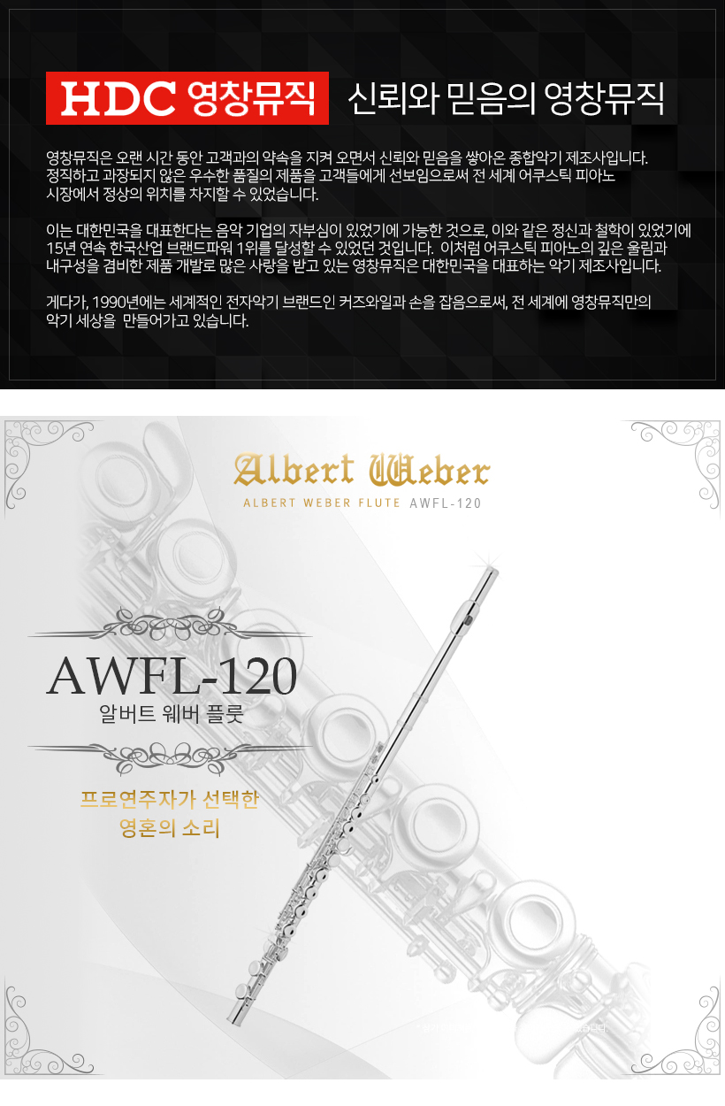 YOUNGCHANG 플룻 AWFL-220