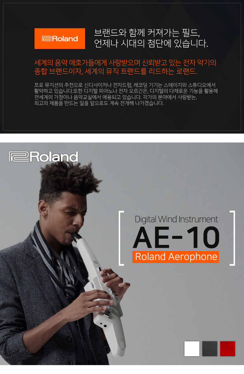 AE-10 전자 색소폰