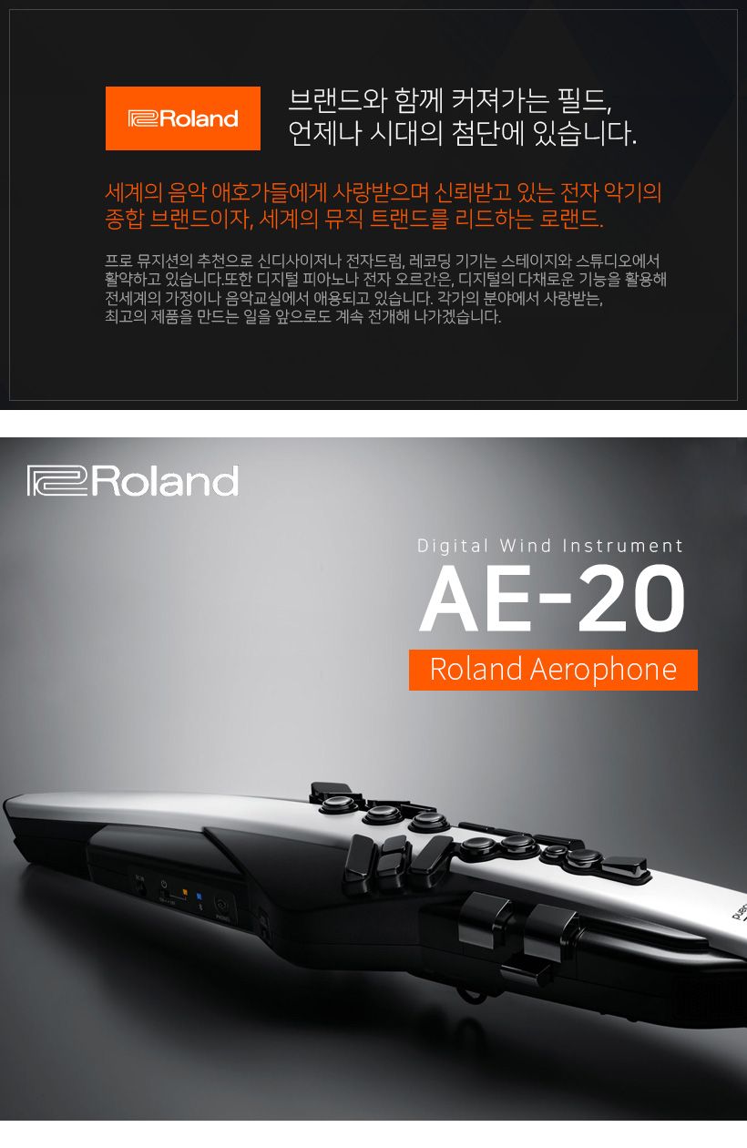 AE-20 전자 색소폰