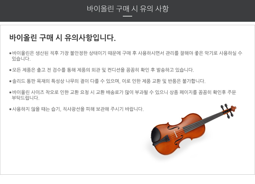 V3S 바이올린 구매 시 유의 사항