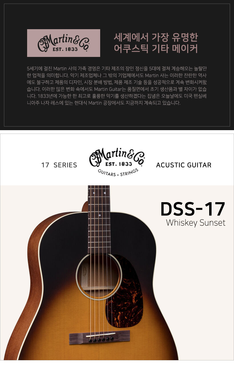MARTIN 어쿠스틱기타 DSS-17
