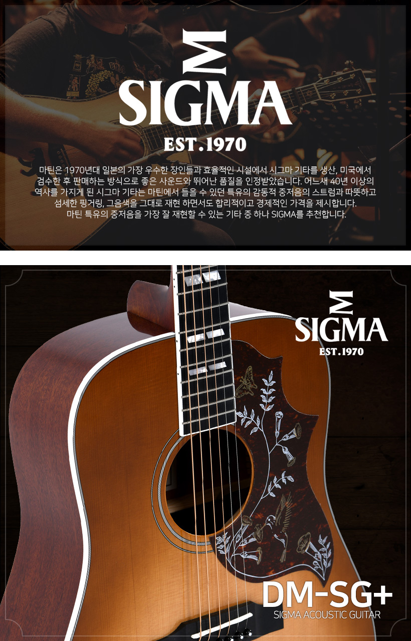 SIGMA 어쿠스틱 기타 DM-SG5+