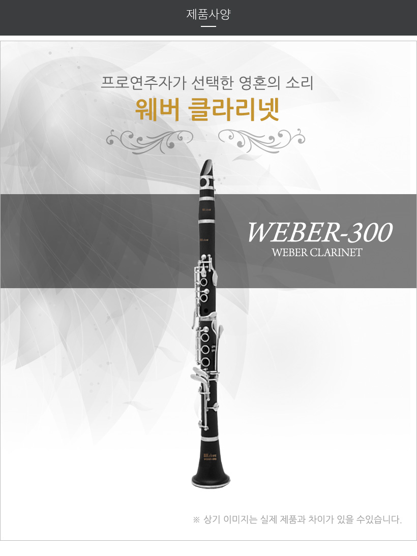 WEBER300 제품 사양